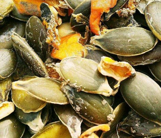 Vỏ hạt của giống bí này thoái hóa thành một lớp màng siêu mỏng, làm lộ rõ phần nhân bên trong.