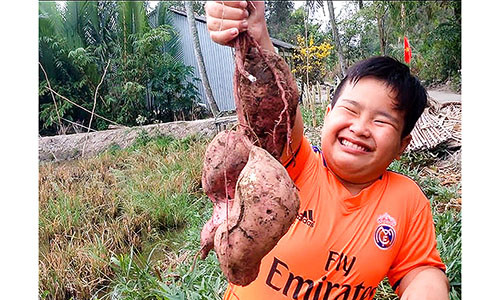 Mọi người rất thích thú với những củ khoai lang “béo phì”. Ảnh: DUY LỮ