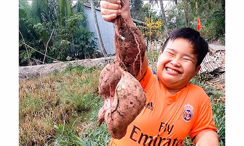 Mọi người rất thích thú với những củ khoai lang “béo phì”. Ảnh: DUY LỮ
