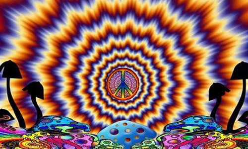 Nấm ma thuật (hay còn gọi là nấm ảo giác) - Ảnh: Internet