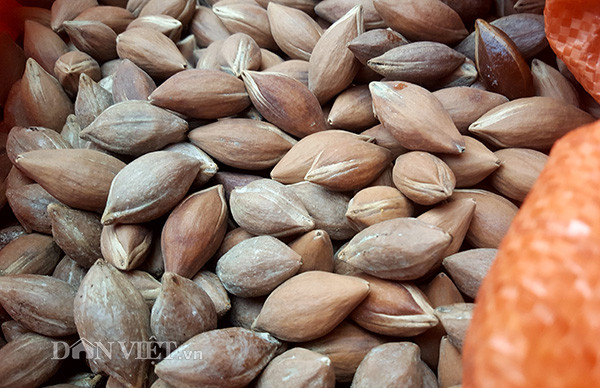 Theo anh Quân trám năm nay được mùa, được giá, loại 1 giá lên tới 70.000 đồng/kg, loại 2, 3 dao động từ 60.000 - 65.000 đồng/kg. “Tôi phải đi vào các bản mà có trồng nhiều trám để thu mua trực tiếp của người dân. Trung bình mỗi phiên chợ hai vợ chồng bán được 2-3 tạ quả, lấy về bằng nào là bán hết sạch bằng đó”, anh nói.