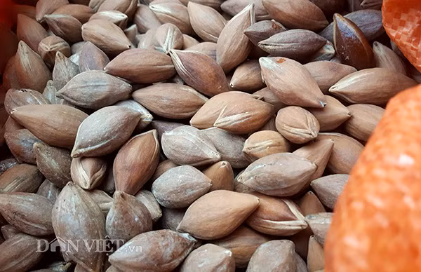 Theo anh Quân trám năm nay được mùa, được giá, loại 1 giá lên tới 70.000 đồng/kg, loại 2, 3 dao động từ 60.000 - 65.000 đồng/kg. “Tôi phải đi vào các bản mà có trồng nhiều trám để thu mua trực tiếp của người dân. Trung bình mỗi phiên chợ hai vợ chồng bán được 2-3 tạ quả, lấy về bằng nào là bán hết sạch bằng đó”, anh nói.