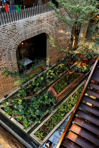 Góc nhìn từ cầu thang xuống vườn xanh ở tầng 1.