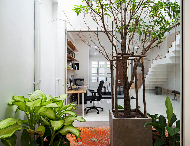 Ngôi nhà gồm ba tầng độc lập, bao gồm hai nhà để xe ô tô, khu vực ăn uống, làm việc, ba phòng ngủ, ba phòng tắm, phòng cầu nguyện, và quan trọng nhất là không gian dành riêng cho các cây bonsai. Một trong những điểm nổi bật của ngôi nhà là không gian mở cho phép bạn nhìn thấy mọi khu vực phòng trong nhà, tăng cường ánh sáng tự nhiên và khả năng thông gió giúp căn nhà thoáng mát hơn.