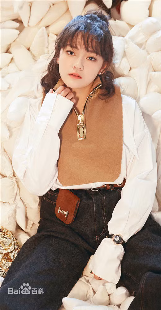 Nhiều khán giả cho rằng Văn Kỳ có nét đẹp trong sáng thuần khiết như ngọc nữ "Vườn Sao Băng" Từ Hy Viên thuở trẻ. Điểm giống nhất là phần cằm và mặt hình kim cương.