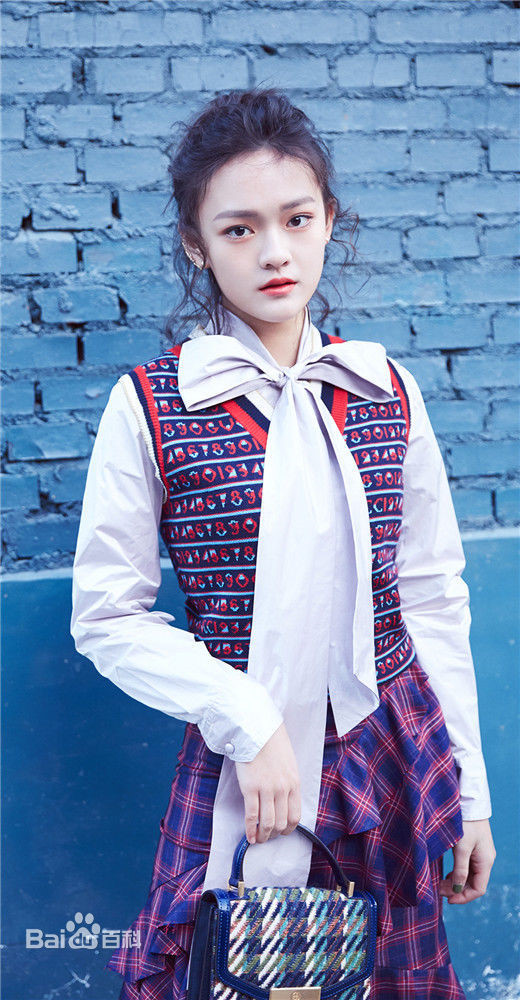 Năm 2013, Văn Kỳ tham gia một tiết mục do Sohu tổ chức, chính thức bước vào giới showbiz. Ở tuổi 15, cô ngày càng ra dáng thiếu nữ. Cô luôn đặt mục tiêu trở thành Natalie Portman châu Á.