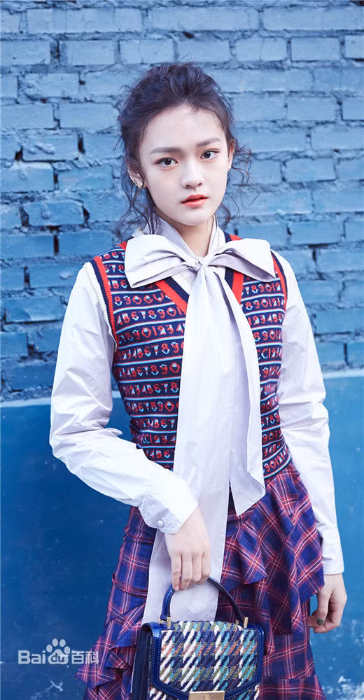 Năm 2013, Văn Kỳ tham gia một tiết mục do Sohu tổ chức, chính thức bước vào giới showbiz. Ở tuổi 15, cô ngày càng ra dáng thiếu nữ. Cô luôn đặt mục tiêu trở thành Natalie Portman châu Á.