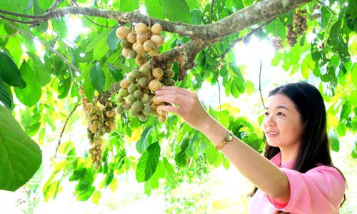 Ve Tien Phuoc, thuong thuc trai lon bon ngon nhat Viet Nam