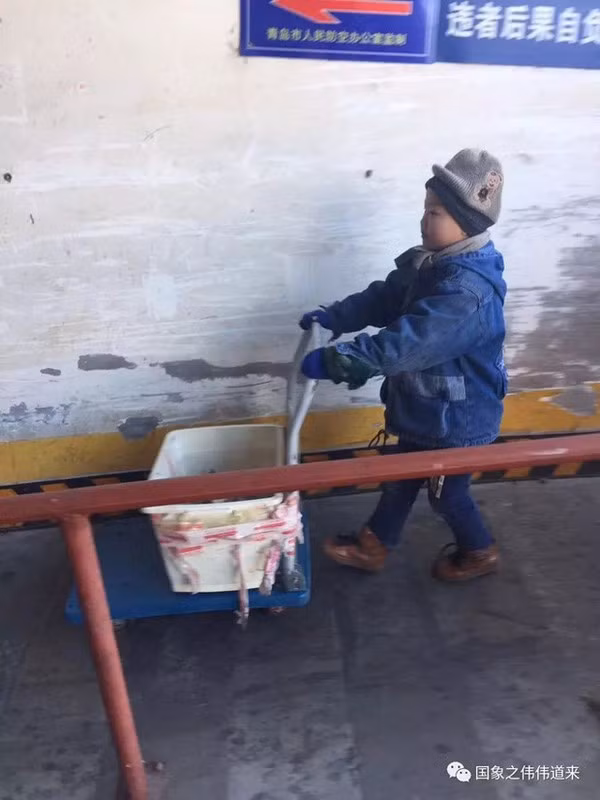 Bé 6 tuổi phải tự đi làm nuôi sống mình.