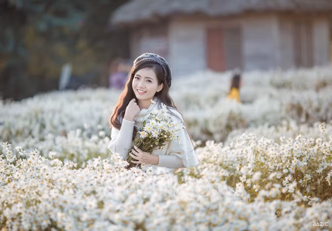 Sắc xuân mơn mởn của cô giáo trẻ nổi bật giữa vườn cúc họa mi tuyệt đẹp.