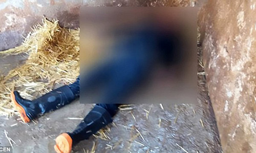 Gustavo Serrano Carabajal được phát hiện tử vong trong chuồng sư tử của vườn thú Nicolas Bravo ở thành phố Tulancingo, bang Hidalgo, Mexico.