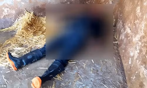 Gustavo Serrano Carabajal được phát hiện tử vong trong chuồng sư tử của vườn thú Nicolas Bravo ở thành phố Tulancingo, bang Hidalgo, Mexico.