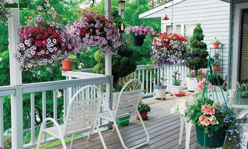 Ảnh: Shutterstock.