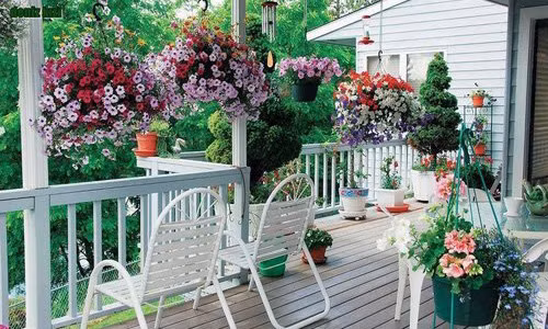 Ảnh: Shutterstock.