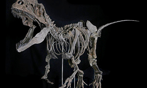 Hoa thach khung long – mon do choi dat do cua gioi sieu giau