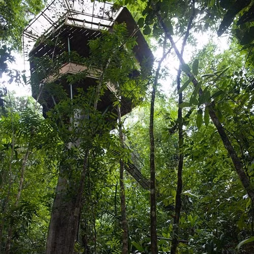 Nhà nghỉ trên cây Finca Bellavista, Costa Rica. Nằm trong một công viên quốc gia, khu nghỉ mát đặc biệt này giúp bạn rời xa thế giới bên ngoài và kết nối với thiên nhiên bằng cách lưu trú tại một trong những ngôi nhà trên cây.