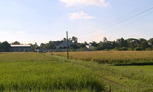 Ngôi biệt thự nằm giữa cánh đồng vắng.