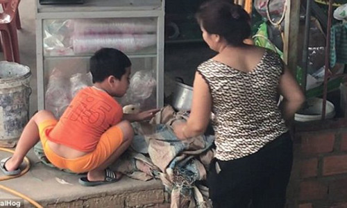 Cau be Viet cuong quyet cuu vit khoi bi giet thit len bao nuoc ngoai