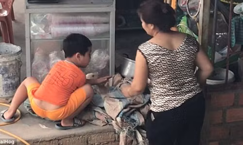 Cau be Viet cuong quyet cuu vit khoi bi giet thit len bao nuoc ngoai