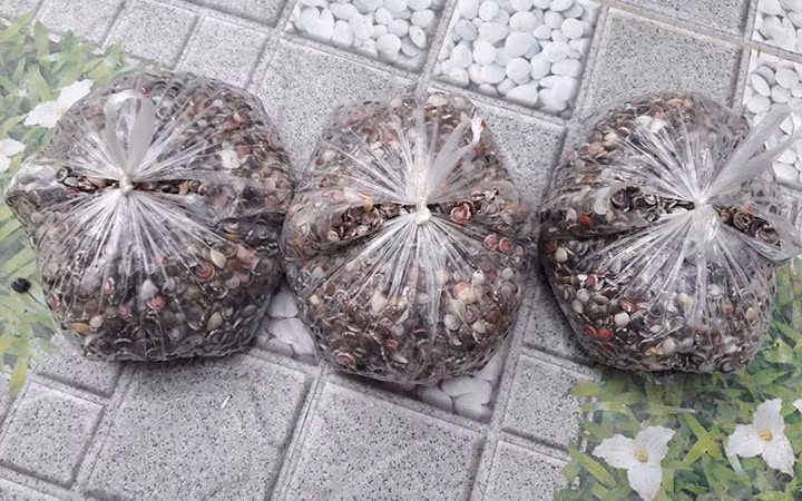 Ngoài ruột, ốc cườm là thức ăn ngon, bổ dưỡng được ưa chuộng. Vỏ ốc cườm được bán cho các đại lý để chế tác đồ trang sức.