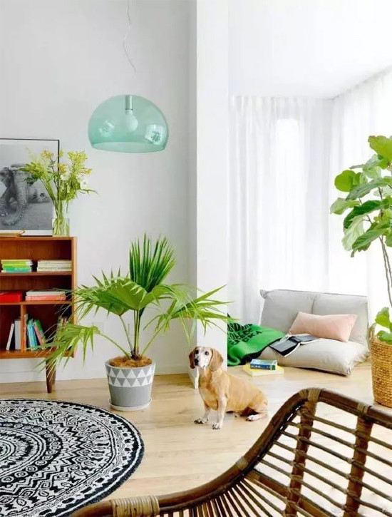 Có thể thấy các phòng trong nhà đều được thiết kế với tông màu sáng, có sắp đặt cây xanh và hoa để không gian sống thêm phần tươi mới, gần gũi với thiên nhiên.