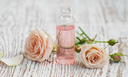 Toner hoa hồng thích hợp cho bạn gái có làn da dầu và lỗ chân lông to.