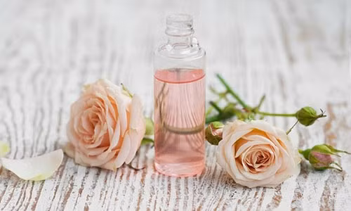 Toner hoa hồng thích hợp cho bạn gái có làn da dầu và lỗ chân lông to.