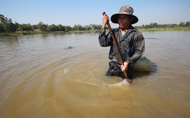 Để bắt được lươn những người thợ cào đi cào lại liên tục.