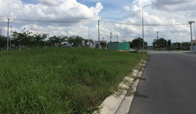 Sau hơn 10 năm triển khai dự án vẫn còn cỏ hoang mọc um tùm.