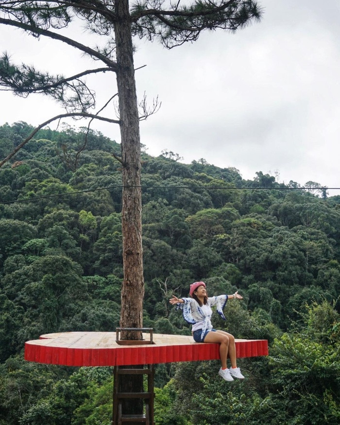 Để đến được đây đi từ trung tâm thành phố đến đường Hoàng Văn Thụ, đến làng hoa Vạn Thành, đèo Tà Nung, rồi đi thêm 4km nhìn bên tay trái là sẽ thấy. Đến đây, bạn sẽ bị choáng ngợp bởi khung cảnh hoang sơ nhưng đầy quyến rũ, tựa một ốc đảo xanh ngát thu nhỏ giữa Đà Lạt.