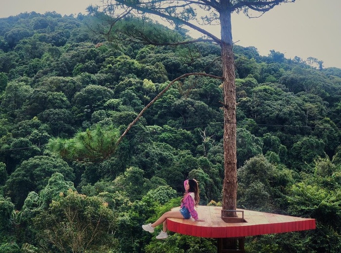 Để lên được trái tim này, bạn sẽ leo bằng chiếc thang dựng ngay phía dưới. Chỉ một vài bậc thang là như được bước lên đến “thiên đường”.