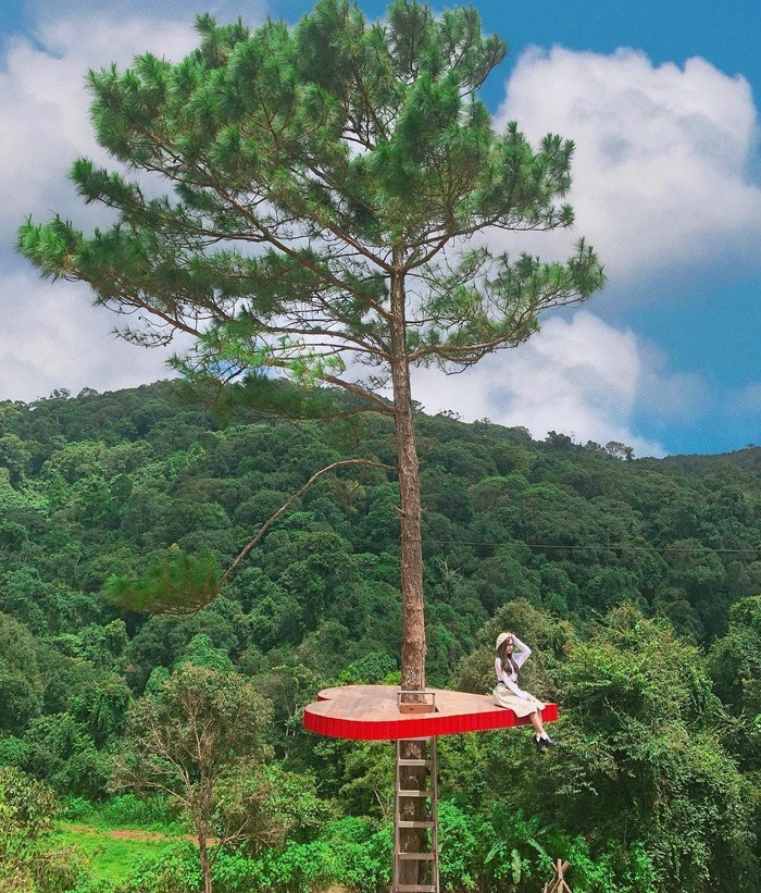 Một “tọa độ sống ảo” mới được phát hiện ở Đà Lạt. Nằm ở khu du lịch Hoa Sơn Điền Trang trên đèo Tà Nung, trái tim lơ lửng giữa thân cây này khiến nhiều người bấn loạn vì quá đẹp. Nơi này trước đây cũng từng nổi tiếng và được nhiều người biết đến với bàn tay Phật khổng lồ tết từ thân cây.
