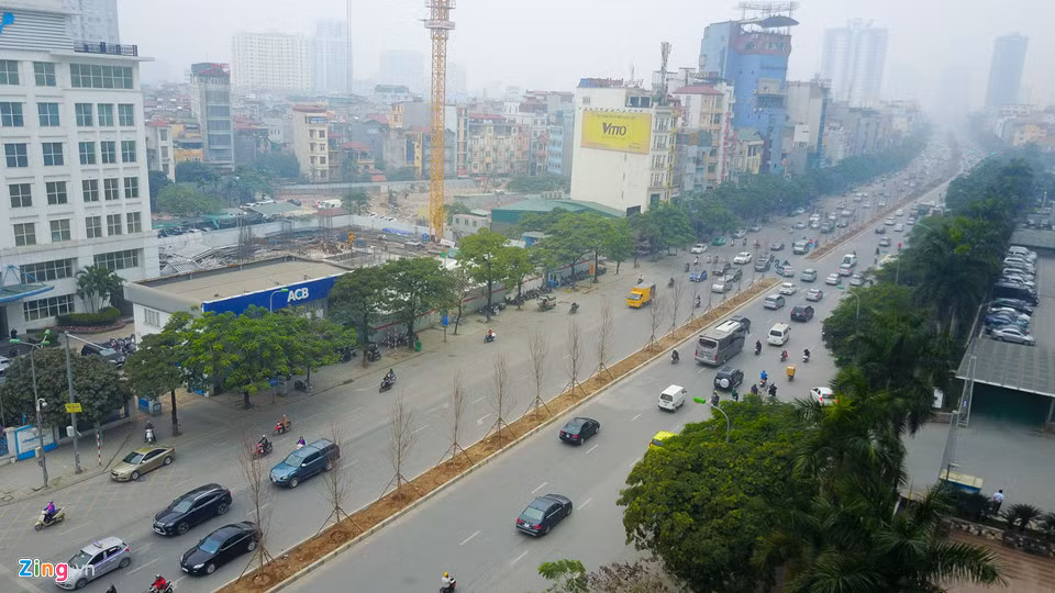 Phong là một loài cây ôn đới, được trồng nhiều ở các nước như Canada, Hàn Quốc, Nhật Bản… Tại Việt Nam, một số nơi cũng xuất hiện cây phong, chủ yếu trong các khu rừng vùng núi phía bắc như Tả Liên, Putaleng (Lai Châu), Chế Tạo (Yên Bái)…