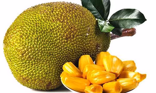 Thuc pham co the thay the thit trong tuong lai bi vut lan loc o Viet Nam