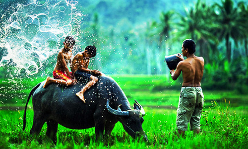 Cang giau co chung ta cang mat di nhung dieu nay