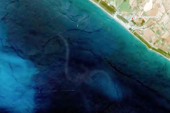 Hình ảnh được cho là của cá mập khổng lồ Megalodon.