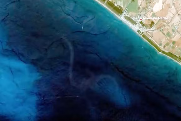 Hình ảnh được cho là của cá mập khổng lồ Megalodon.