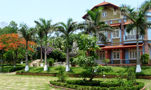 5 loai cay phong thuy trong truoc nha giup gia chu ca doi giau sang