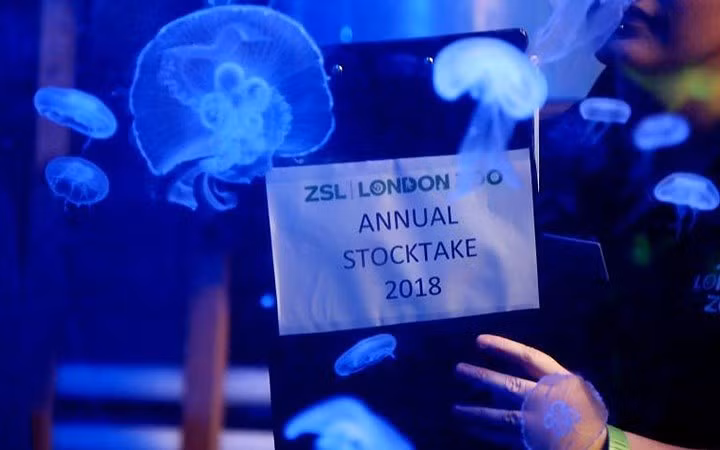 Đếm đi đếm lại không biết bao nhiêu lần.