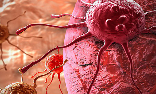 Giúp cơ thể tự hủy tế bào ung thư bằng cách trợ giúp cho hệ miễn dịch là xu hướng điều trị ung thư được các nhà khoa học khắp thế giới theo đuổi - ảnh: SPUTNIK