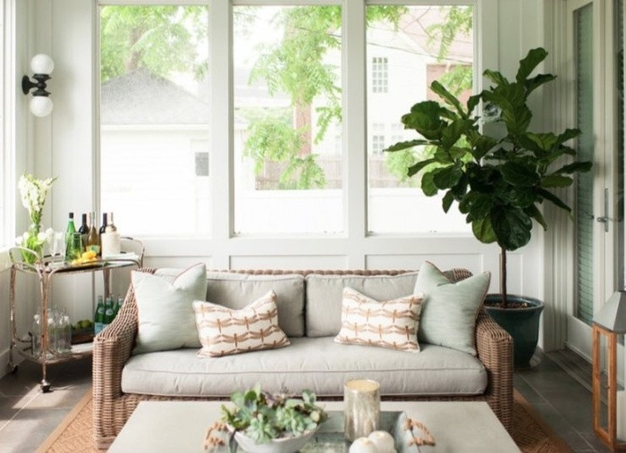 Cây vả lớn này rất phù hợp với chiếc chậu - nó cũng là một điểm nhấn của căn phòng.