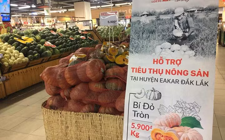 Bí đỏ của giúp nông dân Đắk Lắk cũng được đưa vào siêu thị để "giải cứu", giá chỉ vài ngàn đồng mỗi kg. (Ảnh: Người lao động)