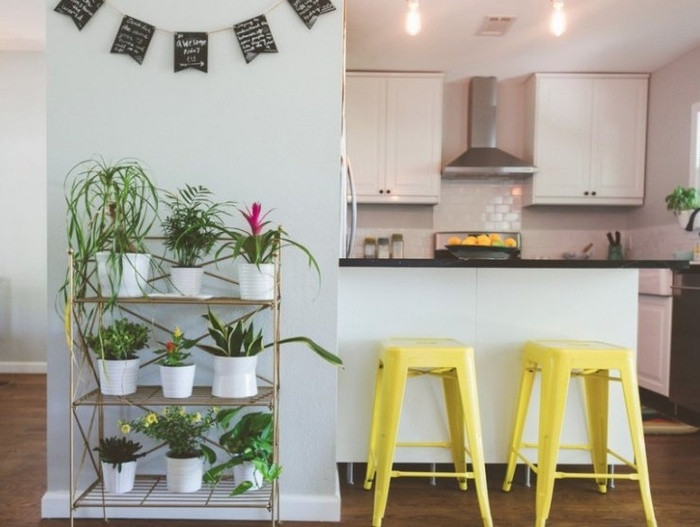 Đặt cây lên giá Bày những loại cây thấp, không cần chăm sóc nhiều như lô hội, xương rồng, v.v. trên những chiếc giá nhỏ như thế này để tạo hiệu ứng trang trí.