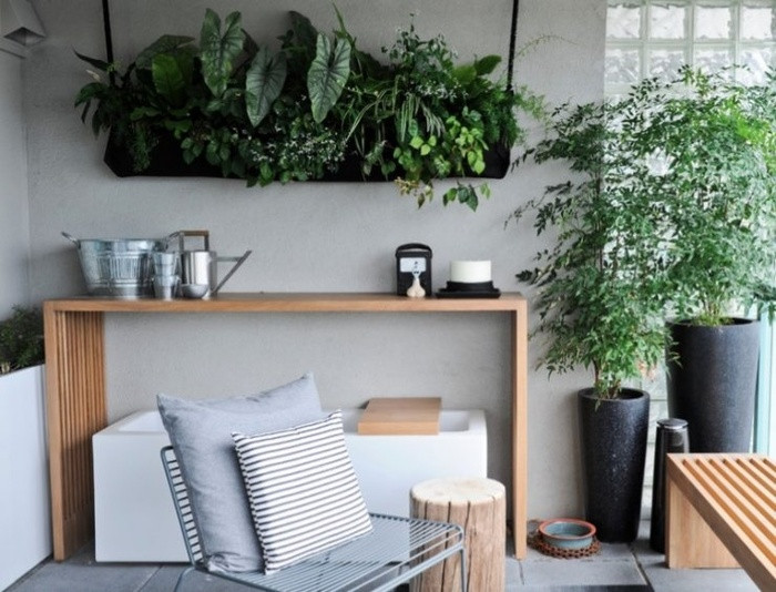 Bày cây lên những giá gắn tường Nếu không thể treo cây lên trần, bạn có thể đặt cây trên những chiếc giá gắn tường. Hãy đặt các chậu cây nhiều độ cao ở cạnh nhau, như vậy sẽ bắt mắt hơn. Nếu trong nhà bếp bạn đặt chậu cây cảnh thay vì dụng cụ nhà bếp trên các giá để đồ ở phòng bếp sẽ giúp bếp của bạn nhìn sáng sủa hơn.