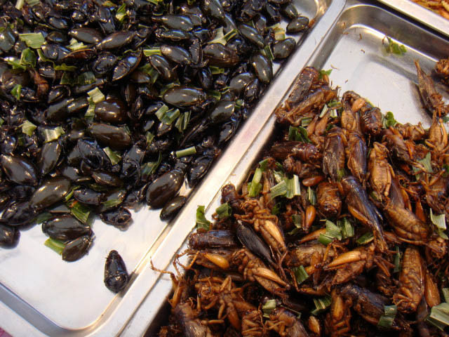 2. Côn trùng chiên, Thái LanMón con trùng chiên thường sử dụng gia vị đặc biệt để kích thích vị giác, thường ăn kèm với sốt tiêu vàng đặc biệt. Món ăn này phải nhấm nháp thêm chút bia rất thích hợp.