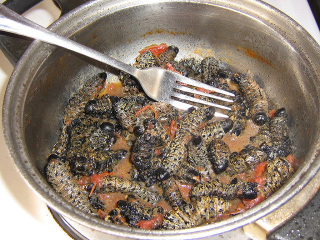 5. Sâu Mopane, châu Phi Đây là một loài sâu bướm thường thấy trên lá của cây Mopane. Ở một số nơi của Nam Phi như Zimbabwe, Namibia, Botswana, người ta sẽ phơi khô, đem chiên hoặc ăn sống.