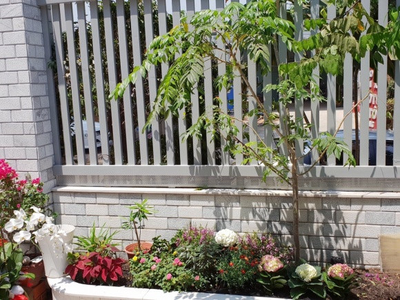 Trên sân khấu là MC năng động với lối dẫn hoạt ngôn nhưng ngoài đời Thanh Thảo lại có tính cách nhẹ nhàng, giản dị và rất thích thiên nhiên. Dù diện tích căn hộ không có quá nhiều khoảng trống để trồng cây nhưng Thanh Thảo vẫn tạo được một khu vườn nhỏ gồm rất nhiều loại hoa thơm. Con trai Thanh Thảo tỏ ra rất thích thú với việc giúp đỡ mẹ trồng hoa.