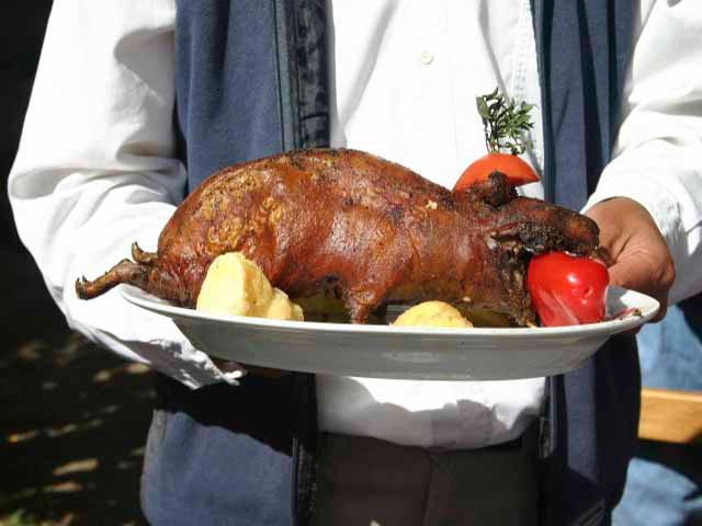 9. Chuột lang, Peru Những ai từng xem chuột lang như một loài thú cưng thì chắc chắn khi nhìn thấy món ăn này phải “khóc thét” lên. Ở Peru, đây là món ăn đạc sản rất được mọi người yêu thích. Thịt chuột lang chứa nhiều chất đạm, ít chất béo và cholesterol, có hương vị rất thơm ngon.