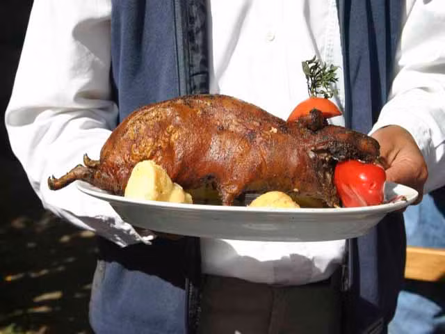 9. Chuột lang, Peru Những ai từng xem chuột lang như một loài thú cưng thì chắc chắn khi nhìn thấy món ăn này phải “khóc thét” lên. Ở Peru, đây là món ăn đạc sản rất được mọi người yêu thích. Thịt chuột lang chứa nhiều chất đạm, ít chất béo và cholesterol, có hương vị rất thơm ngon.