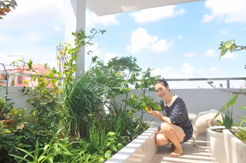 Ngoài ra, cô còn trồng một vườn rau và các loại cây ăn quả trên sân thượng. Vì mát tay nên các cây Thanh Thảo chăm sóc rất xanh tốt. Không gian sống lý tưởng của Thanh Thảo có lẽ là mơ ước của khá nhiều người.